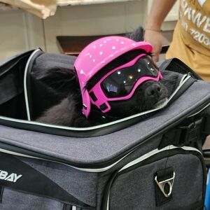 Dog Helmet and Goggles for Small Dogs - UV Protection Doggy Sunglasses Dog Glass